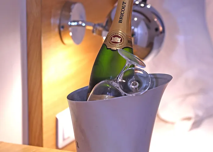 酒店 里切里尔卢浮酒店