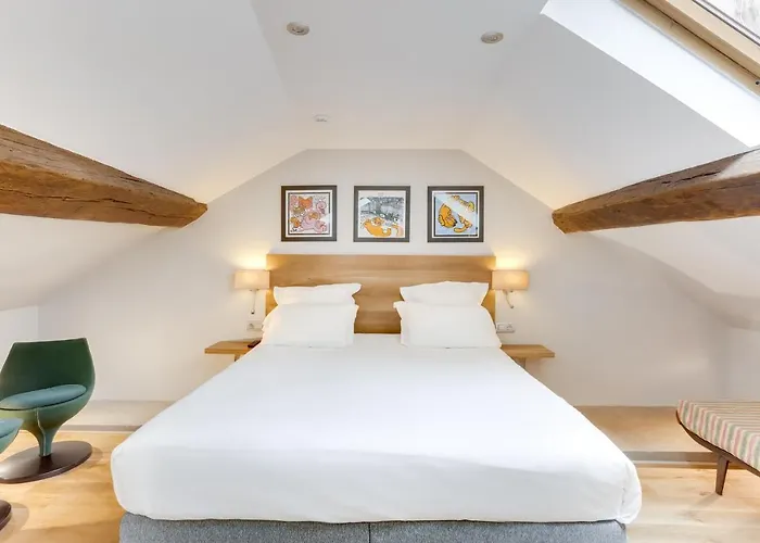 酒店 里切里尔卢浮酒店